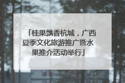 桂果飘香杭城，广西夏季文化旅游推广暨水果推介活动举行