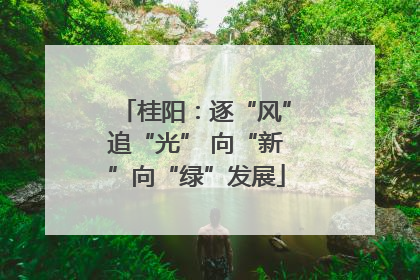 桂阳：逐“风”追“光” 向“新”向“绿”发展