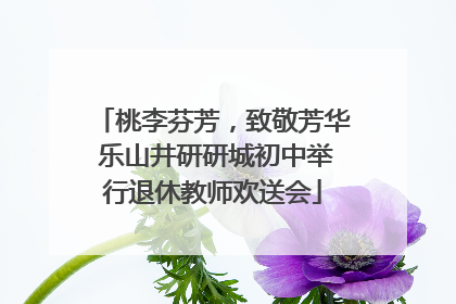 桃李芬芳，致敬芳华 乐山井研研城初中举行退休教师欢送会