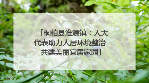 桐柏县淮源镇：人大代表助力人居环境整治 共建美丽宜居家园