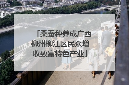 桑蚕种养成广西柳州柳江区民众增收致富特色产业