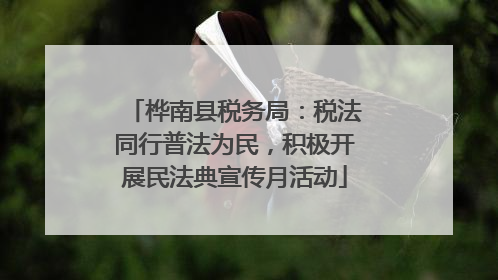 桦南县税务局：税法同行普法为民，积极开展民法典宣传月活动