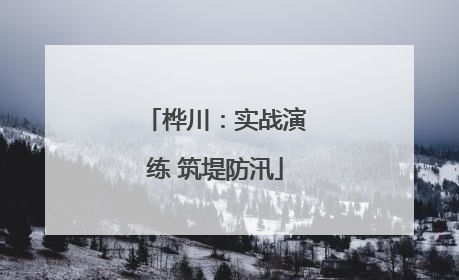 桦川：实战演练 筑堤防汛