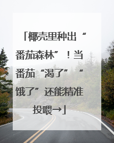 椰壳里种出“番茄森林”！当番茄“渴了”“饿了”还能精准投喂→