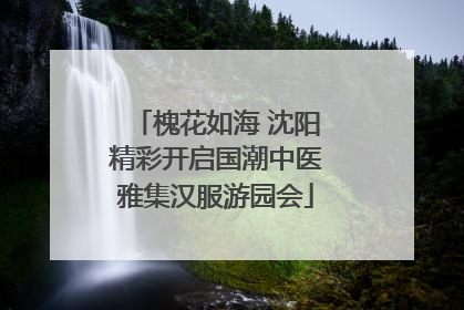 槐花如海 沈阳精彩开启国潮中医雅集汉服游园会