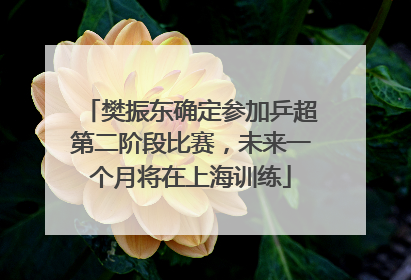 樊振东确定参加乒超第二阶段比赛，未来一个月将在上海训练