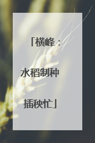 横峰：水稻制种插秧忙