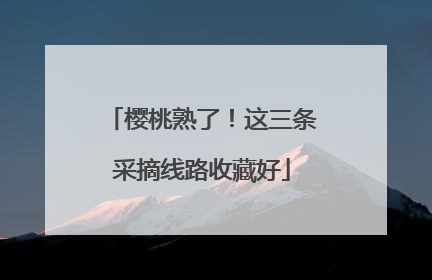 樱桃熟了！这三条采摘线路收藏好
