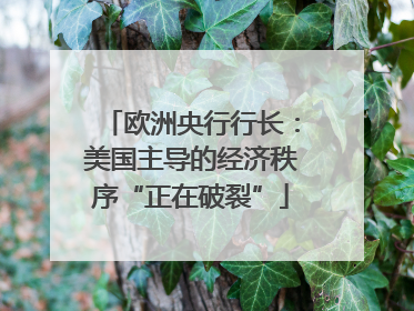 欧洲央行行长：美国主导的经济秩序“正在破裂”