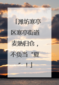 潍坊寒亭区寒亭街道麦熟归仓，不负当“夏”！