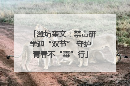潍坊奎文：禁毒研学迎“双节” 守护青春不“毒”行
