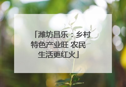 潍坊昌乐：乡村特色产业旺 农民生活更红火