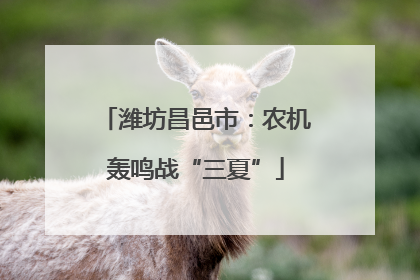 潍坊昌邑市：农机轰鸣战“三夏”