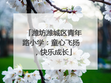 潍坊潍城区青年路小学：童心飞扬，快乐成长