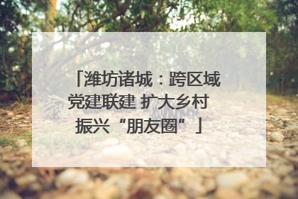 潍坊诸城：跨区域党建联建 扩大乡村振兴“朋友圈”