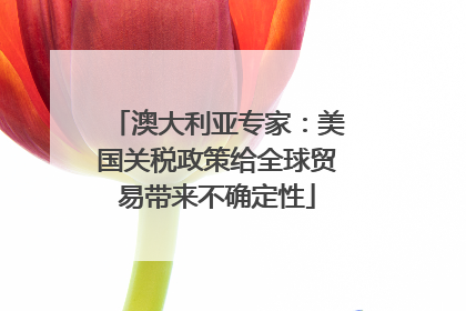 澳大利亚专家：美国关税政策给全球贸易带来不确定性