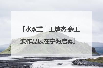 水双重｜王敏杰·余王波作品展在宁海启幕