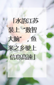 水韵江苏装上“数智大脑”，鱼米之乡驶上信息高速