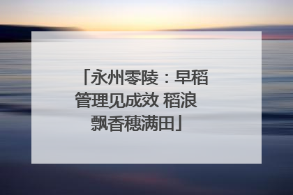 永州零陵：早稻管理见成效 稻浪飘香穗满田