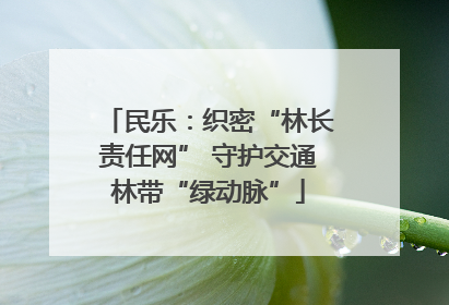 民乐：织密“林长责任网” 守护交通林带“绿动脉”