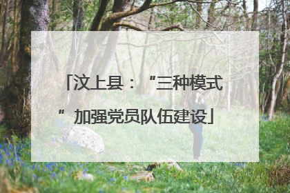 汶上县：“三种模式”加强党员队伍建设