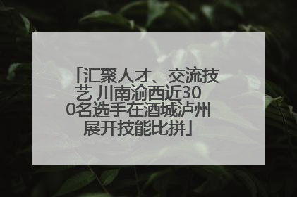 汇聚人才、交流技艺 川南渝西近300名选手在酒城泸州展开技能比拼
