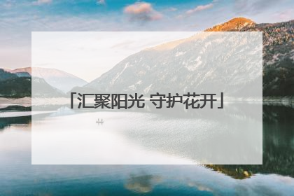 汇聚阳光 守护花开