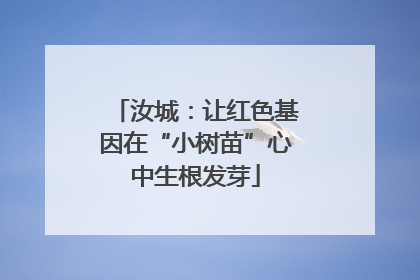 汝城：让红色基因在“小树苗”心中生根发芽