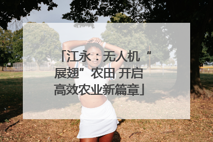 江永：无人机“展翅”农田 开启高效农业新篇章