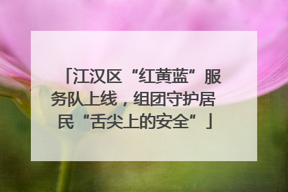 江汉区“红黄蓝”服务队上线，组团守护居民“舌尖上的安全”