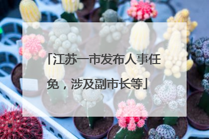 江苏一市发布人事任免，涉及副市长等