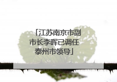 江苏南京市副市长李晖已调任泰州市领导