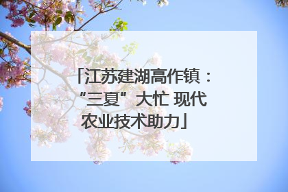 江苏建湖高作镇：“三夏”大忙 现代农业技术助力
