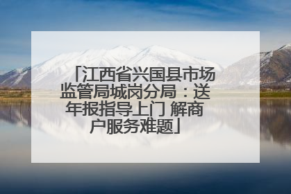 江西省兴国县市场监管局城岗分局：送年报指导上门 解商户服务难题