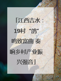 江西吉水：19村“鸽”鸣致富曲 奏响乡村产业振兴强音