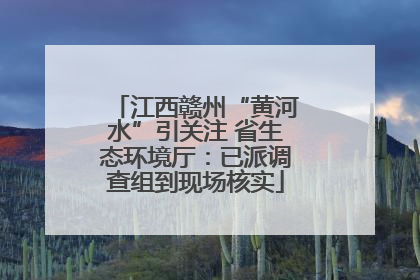 江西赣州“黄河水”引关注 省生态环境厅：已派调查组到现场核实