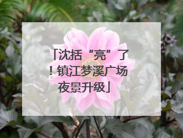 沈括“亮”了！镇江梦溪广场夜景升级