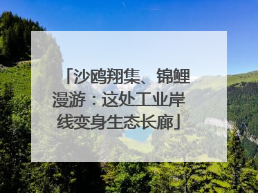 沙鸥翔集、锦鲤漫游：这处工业岸线变身生态长廊