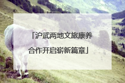 沪武两地文旅康养合作开启崭新篇章