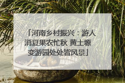 河南乡村振兴：游人消夏果农忙秋 黄土塬变游园处处皆风景