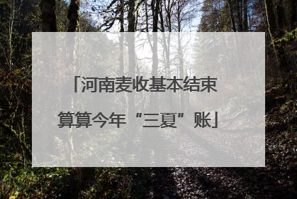 河南麦收基本结束 算算今年“三夏”账