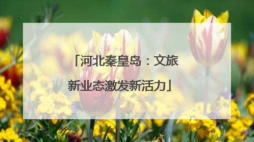 河北秦皇岛：文旅新业态激发新活力