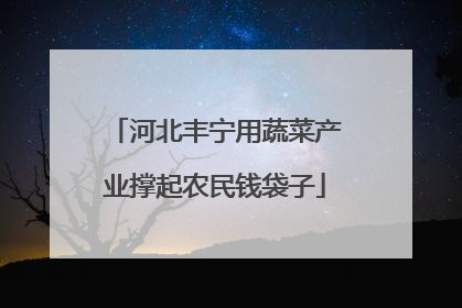 河北丰宁用蔬菜产业撑起农民钱袋子