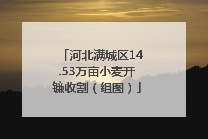 河北满城区14.53万亩小麦开镰收割（组图）