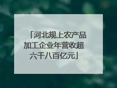 河北规上农产品加工企业年营收超六千八百亿元