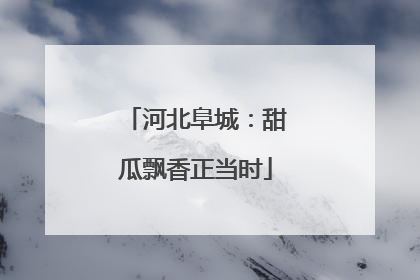 河北阜城：甜瓜飘香正当时