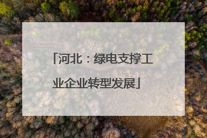 河北：绿电支撑工业企业转型发展