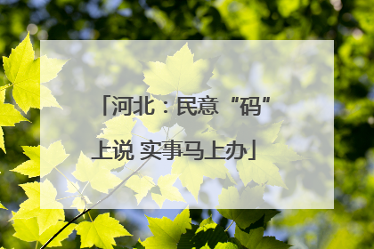 河北：民意“码”上说 实事马上办