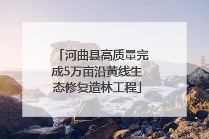 河曲县高质量完成5万亩沿黄线生态修复造林工程