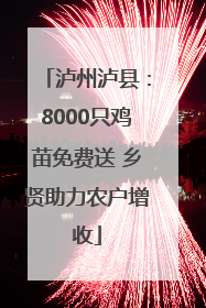 泸州泸县：8000只鸡苗免费送 乡贤助力农户增收